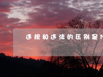违规和违法的区别是什么啊 违规和违法的区别是什么啊