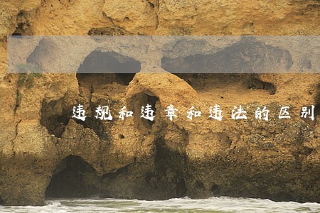 违规和违章和违法的区别