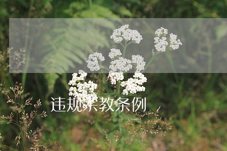违规宗教条例