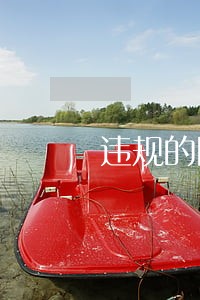 违规的网贷逾期上征信吗