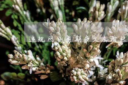 违规网贷逾期多久会被起诉 违规网贷逾期多久会被起诉
