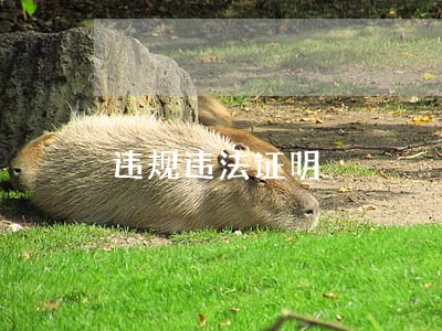 违规违法证明 违规违法证明