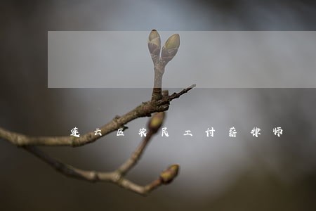 连云区农民工讨薪律师 连云区农民工讨薪律师