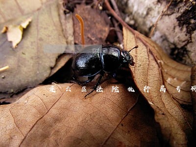 连云区法院执行局号码 连云区法院执行局号码