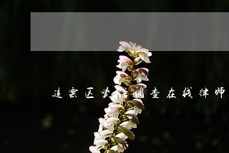 连云区资信调查在线律师
