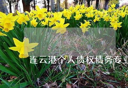 连云港个人债权债务专业律师 连云港个人债权债务专业律师