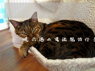 连云港二建法规估计多少分 连云港二建法规估计多少分