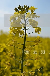 连云港人身损害律师咨询电话