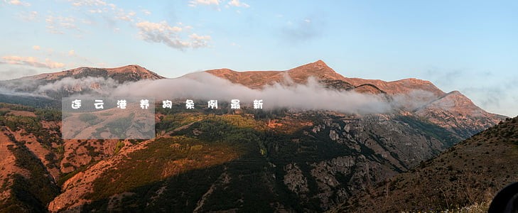 连云港养狗条例最新