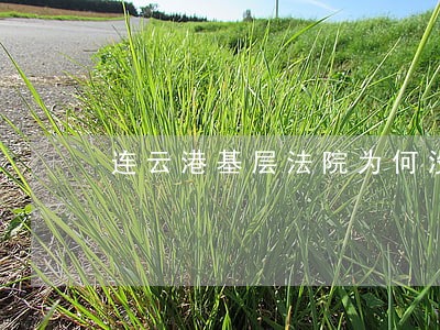 连云港基层法院为何没人考 连云港基层法院为何没人考