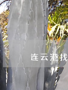 连云港找刑事律师哪个好