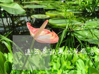 连云港杨集法院服务中心