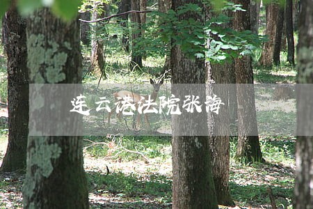 连云港法院张海 连云港法院张海