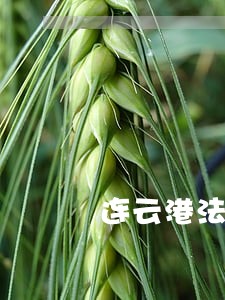 连云港法院招聘法官助理