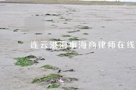连云港海事海商律师在线咨询 连云港海事海商律师在线咨询
