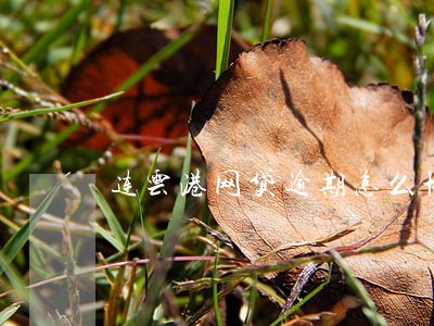 连云港网贷逾期怎么协商还款 连云港网贷逾期怎么协商还款