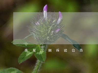 连发六则诉讼公告
