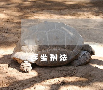 连坐刑法 连坐刑法