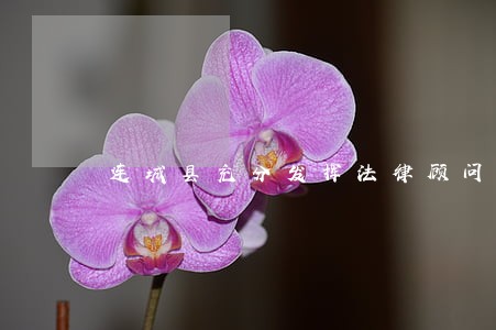 连城县充分发挥法律顾问作用 连城县充分发挥法律顾问作用