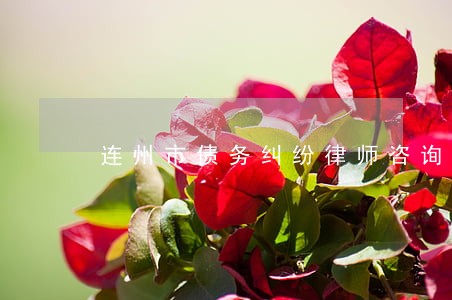 连州市债务纠纷律师咨询电话