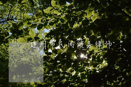 连州市民间债务律师 连州市民间债务律师