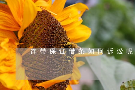 连带保证借条如何诉讼呢精选问答 连带保证借条如何诉讼呢精选问答