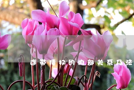 连带债权的内部关系及法律 连带债权的内部关系及法律
