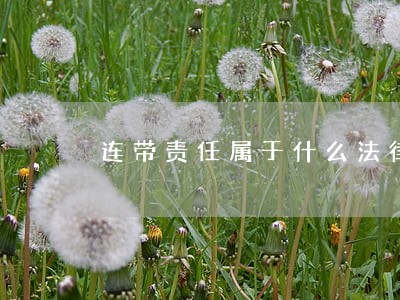 连带责任属于什么法律条文 连带责任属于什么法律条文