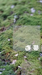 连带责任的诉讼时效相关问答 连带责任的诉讼时效相关问答