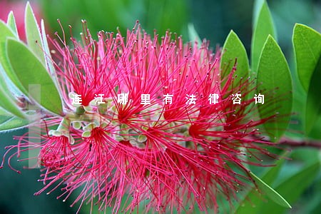 连江哪里有法律咨询 连江哪里有法律咨询