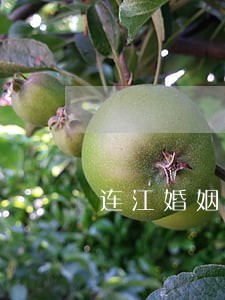 连江婚姻继承律师收费 连江婚姻继承律师收费