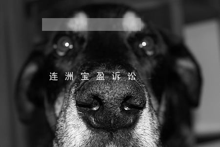 连洲宝盈诉讼 连洲宝盈诉讼