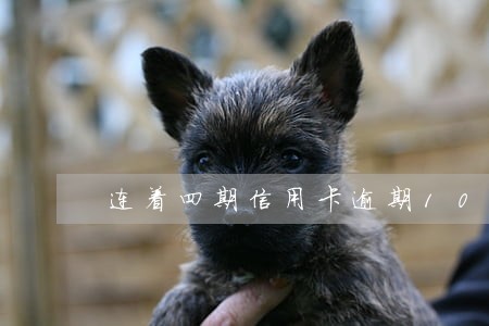 连着四期信用卡逾期10天