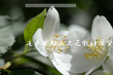 连着逾期三次还能信用贷款吗 连着逾期三次还能信用贷款吗