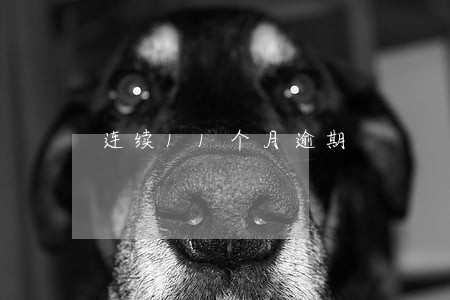 连续11个月逾期 连续11个月逾期
