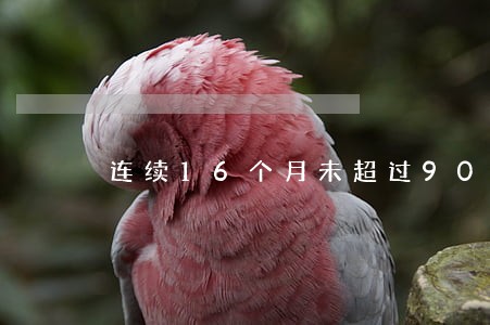 连续16个月未超过90天的逾期 连续16个月未超过90天的逾期