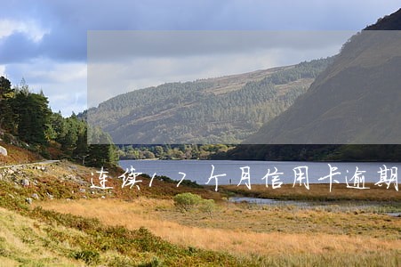 连续17个月信用卡逾期 连续17个月信用卡逾期
