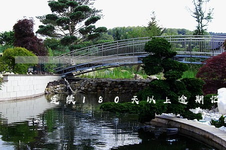 连续180天以上逾期记录