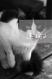 连续22个月逾期