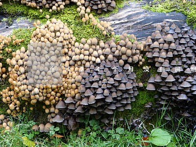 连续24个月没有逾期 连续24个月没有逾期