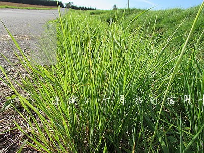 连续2个月招行信用卡逾期 连续2个月招行信用卡逾期