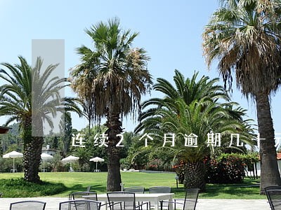 连续2个月逾期几十元