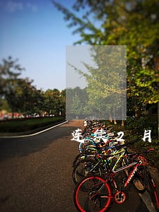 连续2月逾期90天