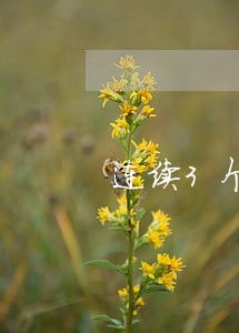 连续3个月有逾期记录 连续3个月有逾期记录