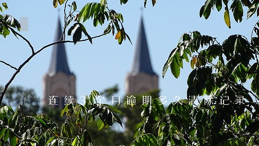 连续3个月逾期多久清除记录