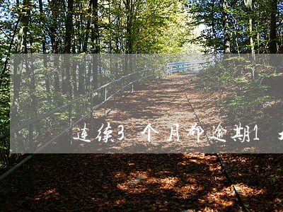 连续3个月都逾期1天 连续3个月都逾期1天