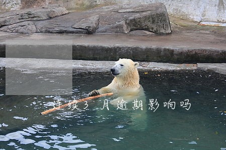 连续3月逾期影响吗 连续3月逾期影响吗