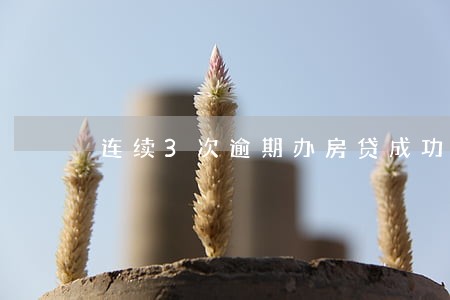 连续3次逾期办房贷成功