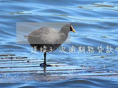 连续3次逾期能贷款吗 连续3次逾期能贷款吗