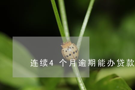 连续4个月逾期能办贷款吗 连续4个月逾期能办贷款吗